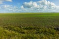 Green Agricultural Farm Field with Blue Sky and White Clouds in the Background,ÃÂ Grassland,ÃÂ Country Meadow Landscape,ÃÂ .World Royalty Free Stock Photo